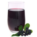 Aronia for Life Superfood Fruit Juice