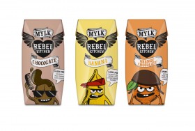 rebel-kitchen-wholesale-flavoured-coconut-milk-supplier