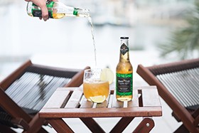 mateco2-wholesale-yerba-mate-sparkling-drink