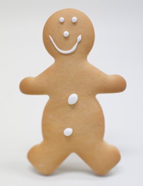 christen's-gingerbread